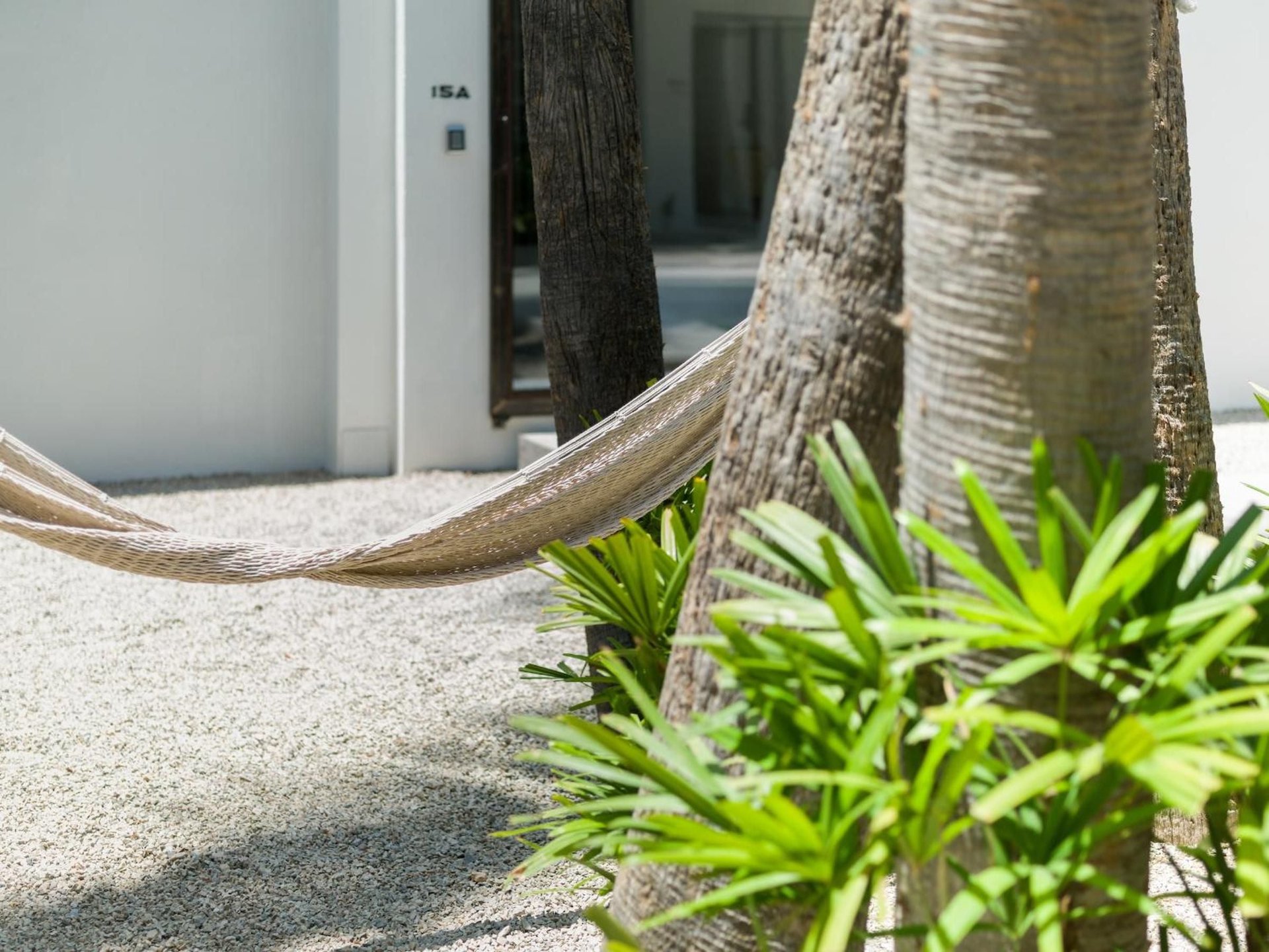 main amenity