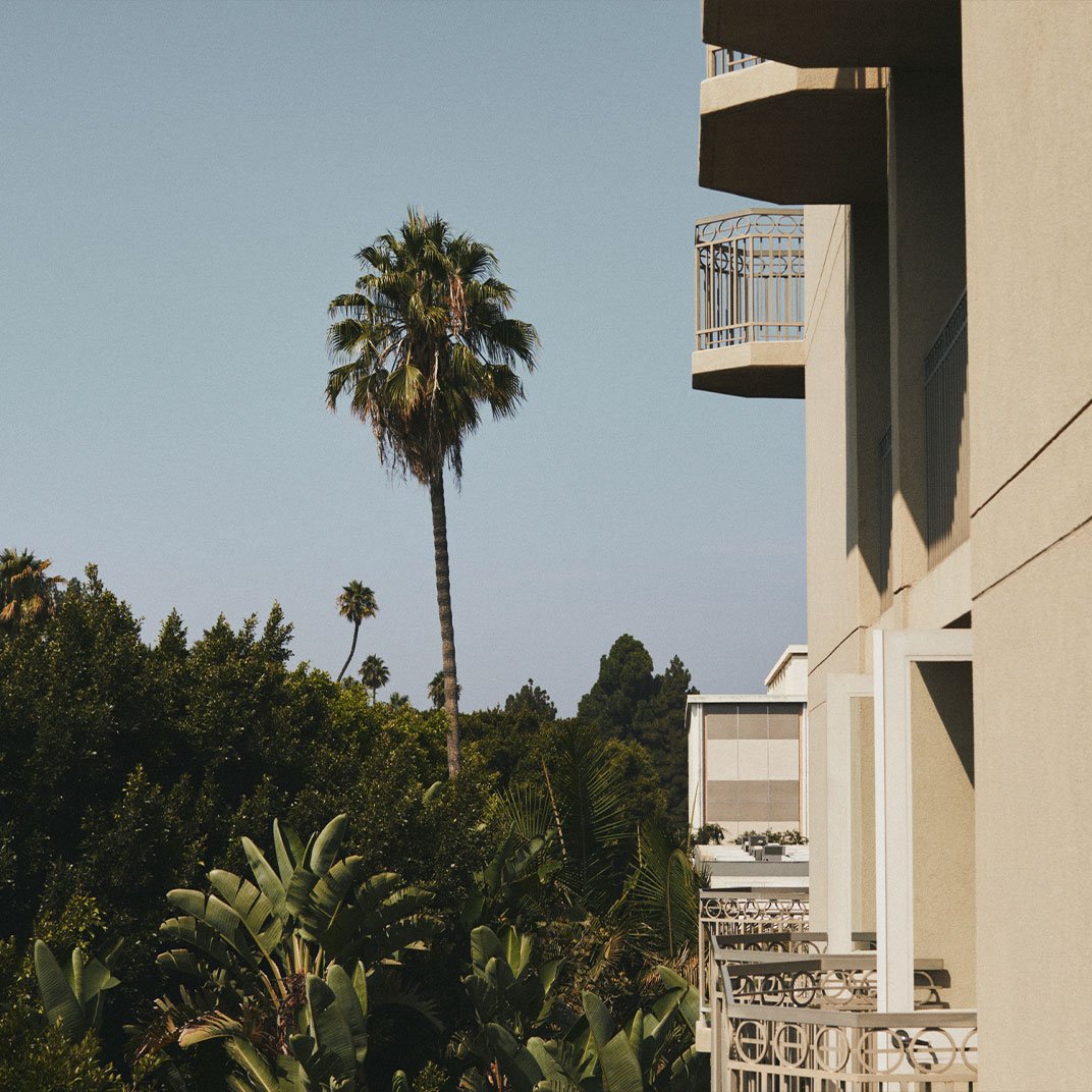 main amenity