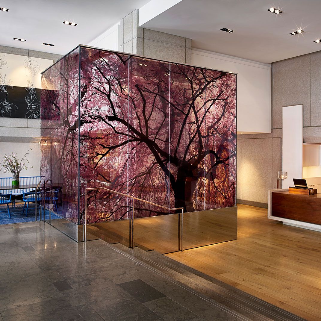main amenity