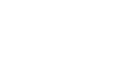Beach Plum Properties — brand logo