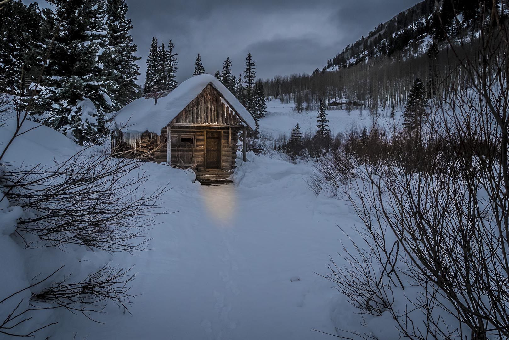 Dolores: Forest Retreat with Cozy Comfort hero image
