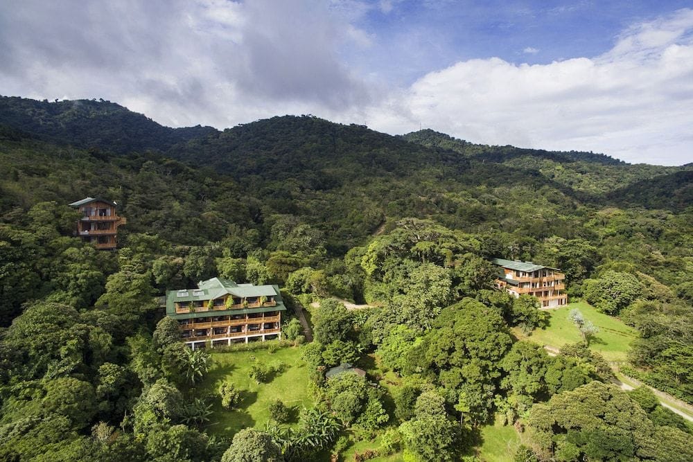 Elevate Your Senses in Cloud Forest Luxury hero image