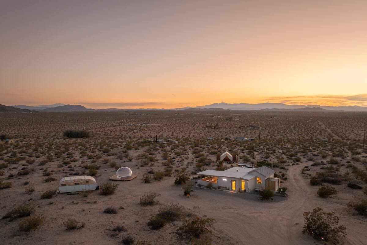 Desert Elegance Under Starlit Skies hero image