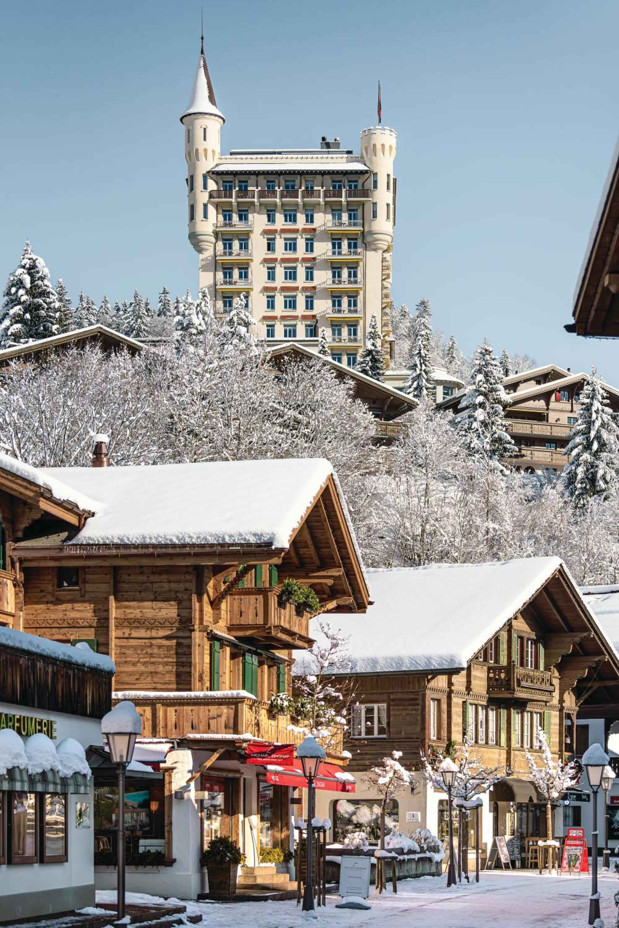 Elevate Your Senses Above the Alps hero image