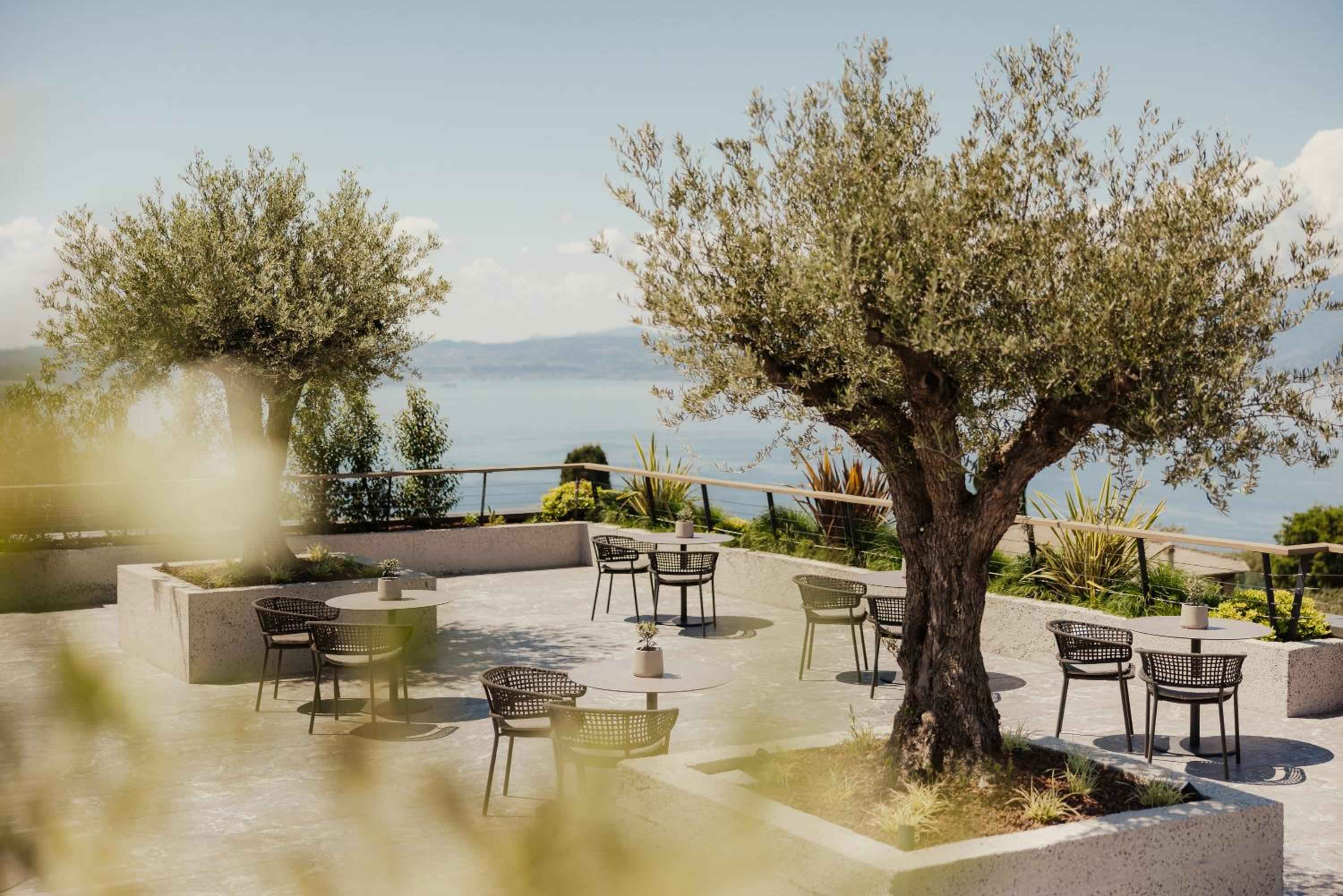 Awaken Your Senses by Lake Garda hero image