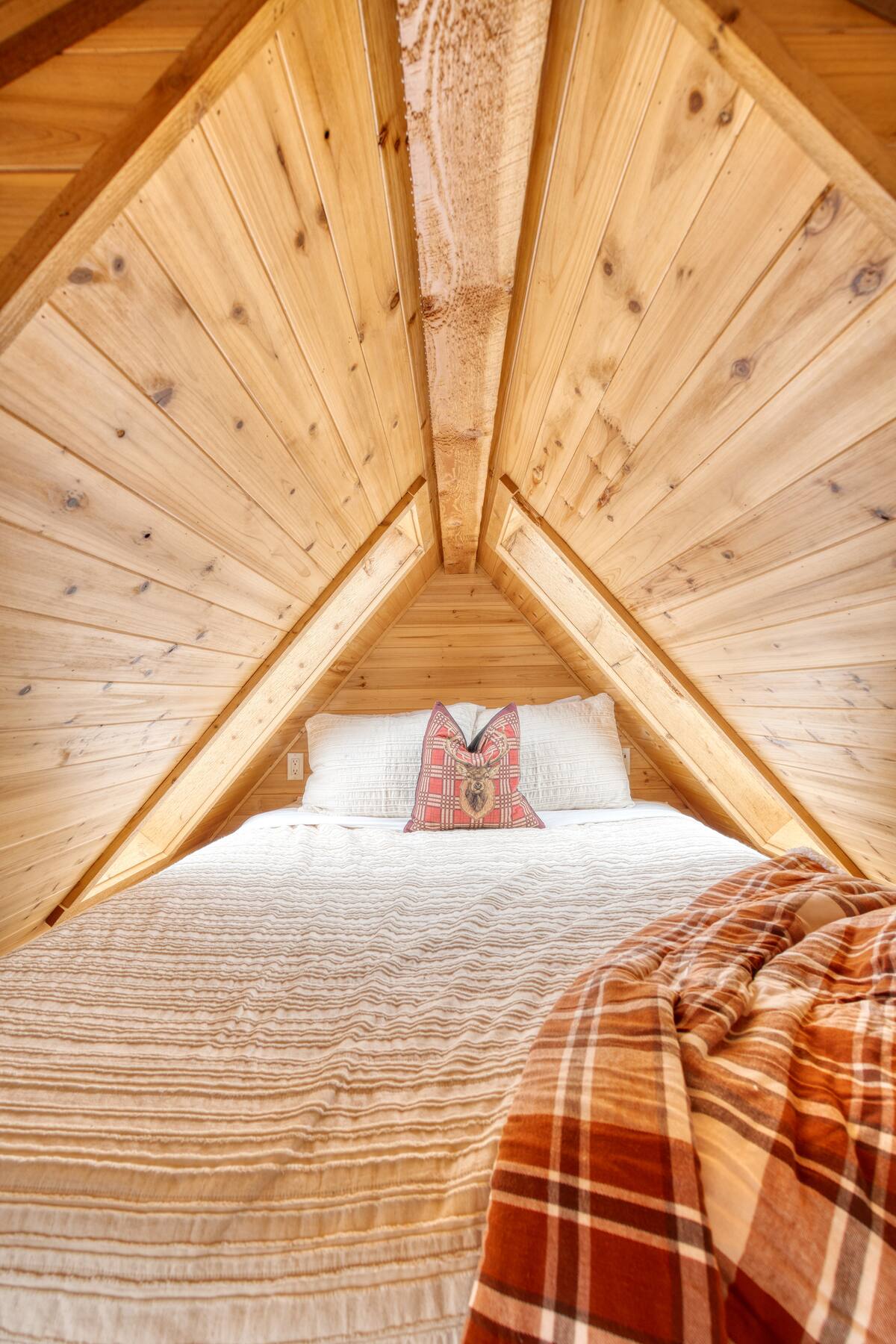 Tiny House, Grand Adventures Await hero image