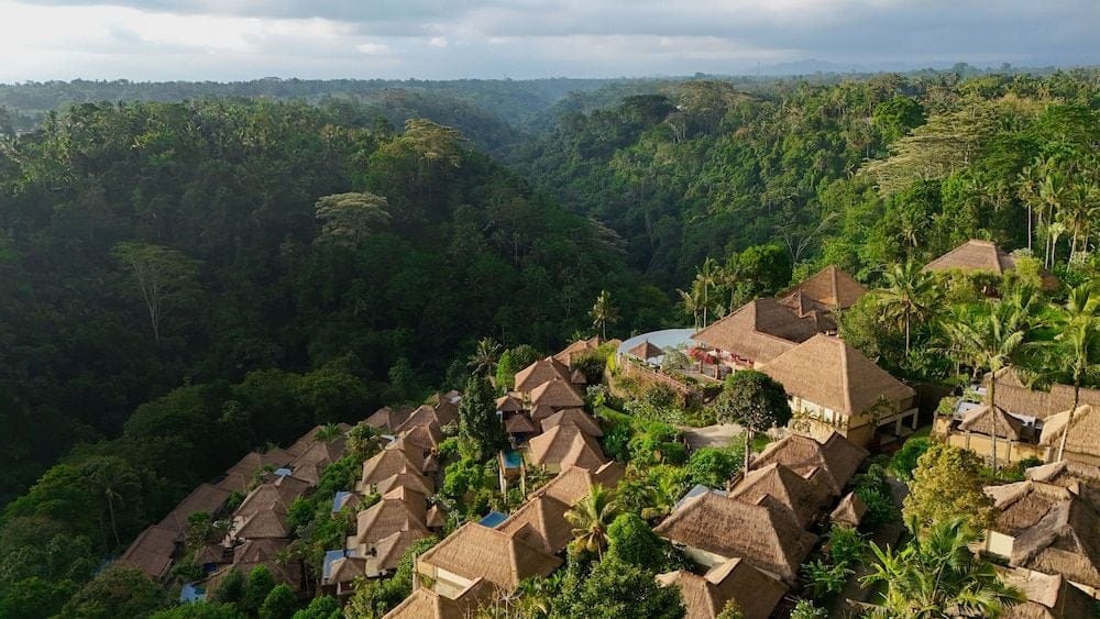 Surrender to Serenity in Ubud's Embrace hero image