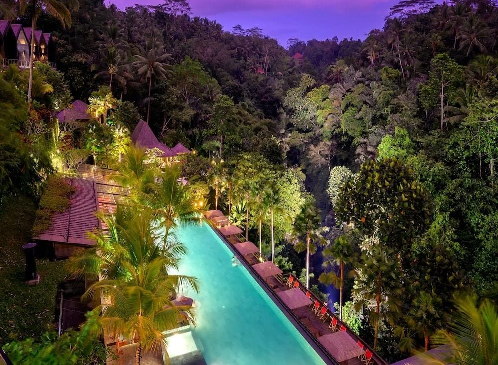 Escape to Your Jungle Sanctuary hero image