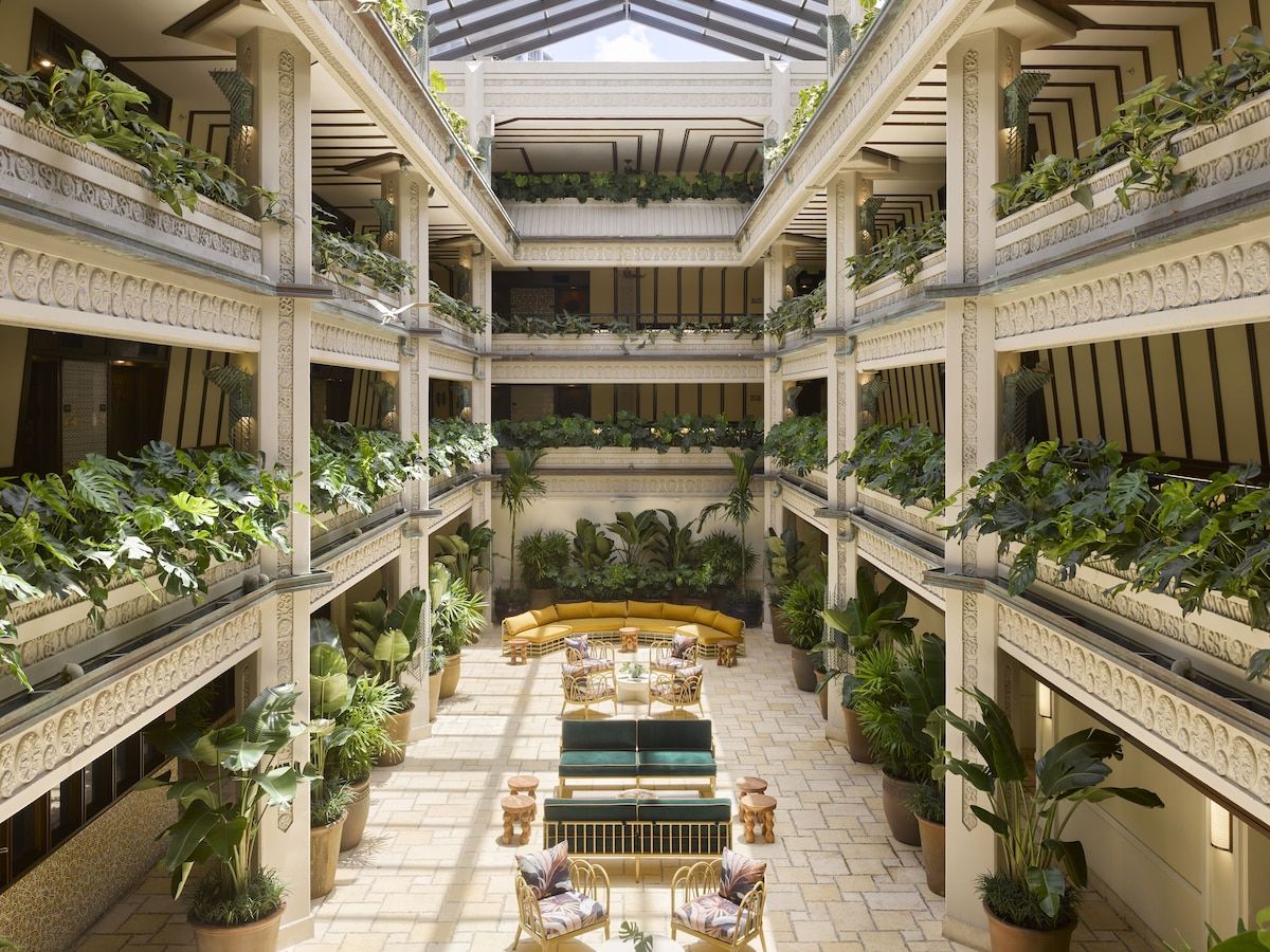 Elevate Your Senses in Tropical Elegance hero image