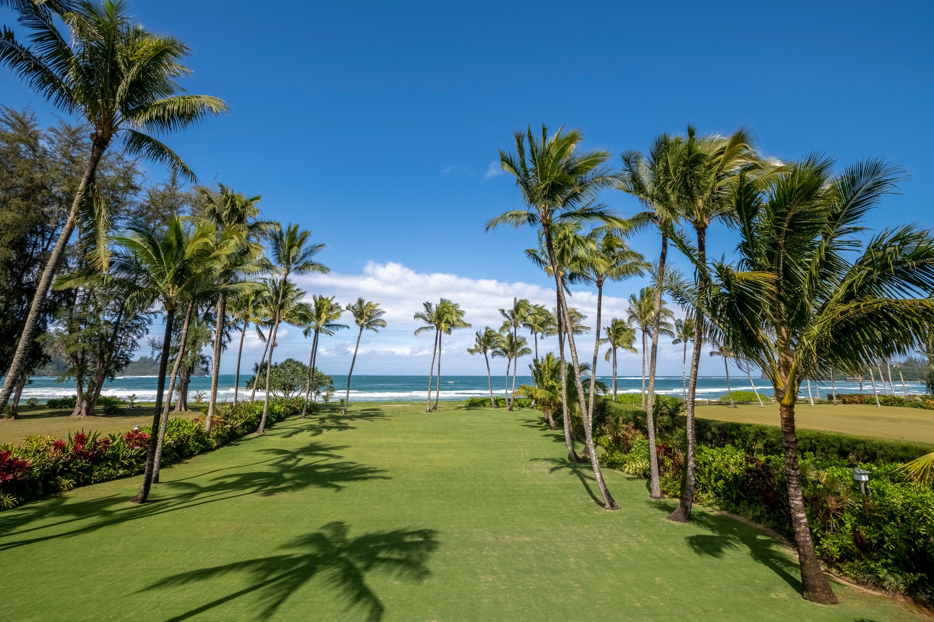 Paradise Found on Kauai's Coast hero image