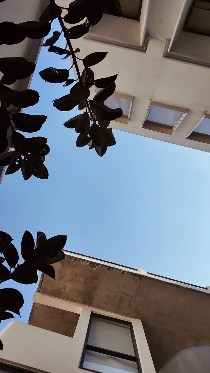 Instagram post 6280