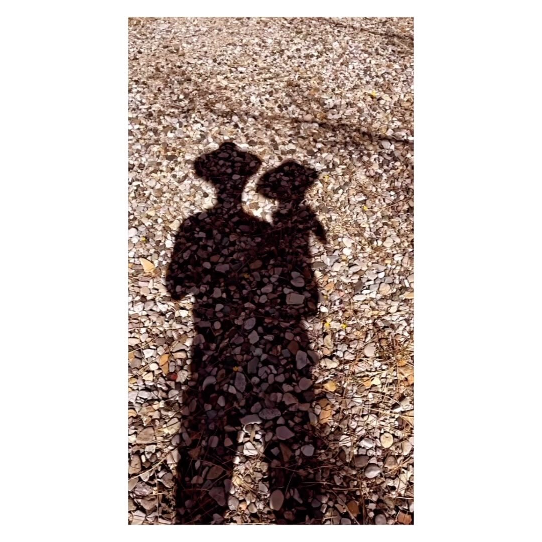 Instagram post recAjB3wZ5aOTuuee