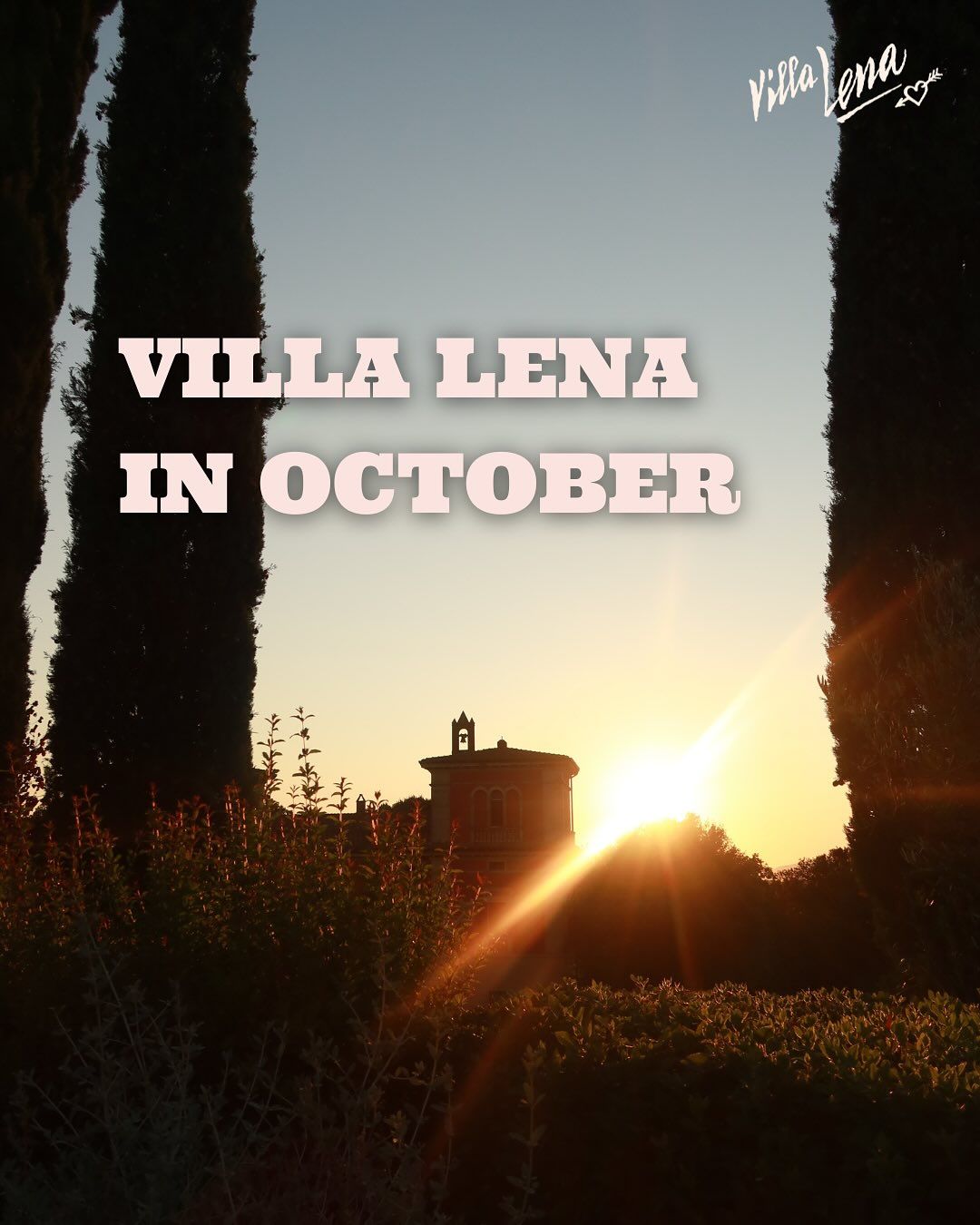 Instagram post 10020