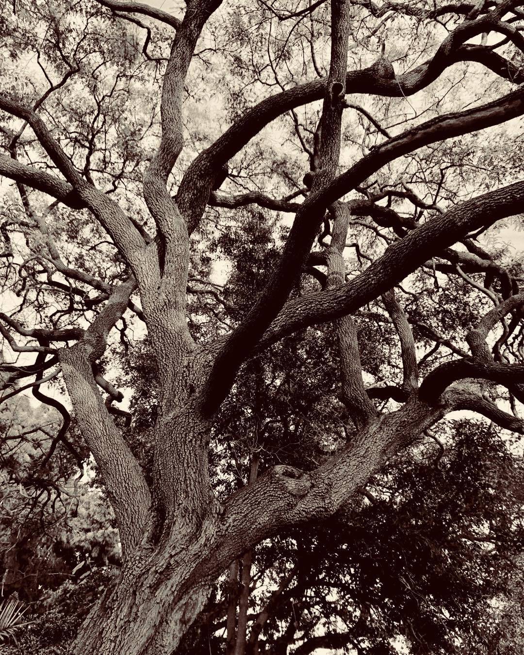 Instagram post 10143