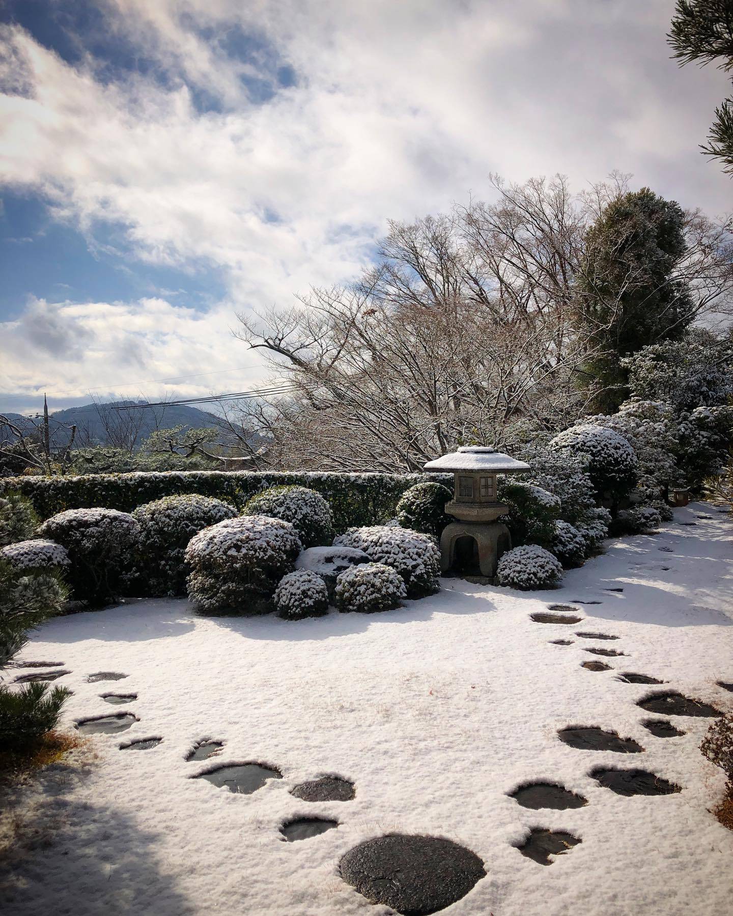 Instagram post 10309