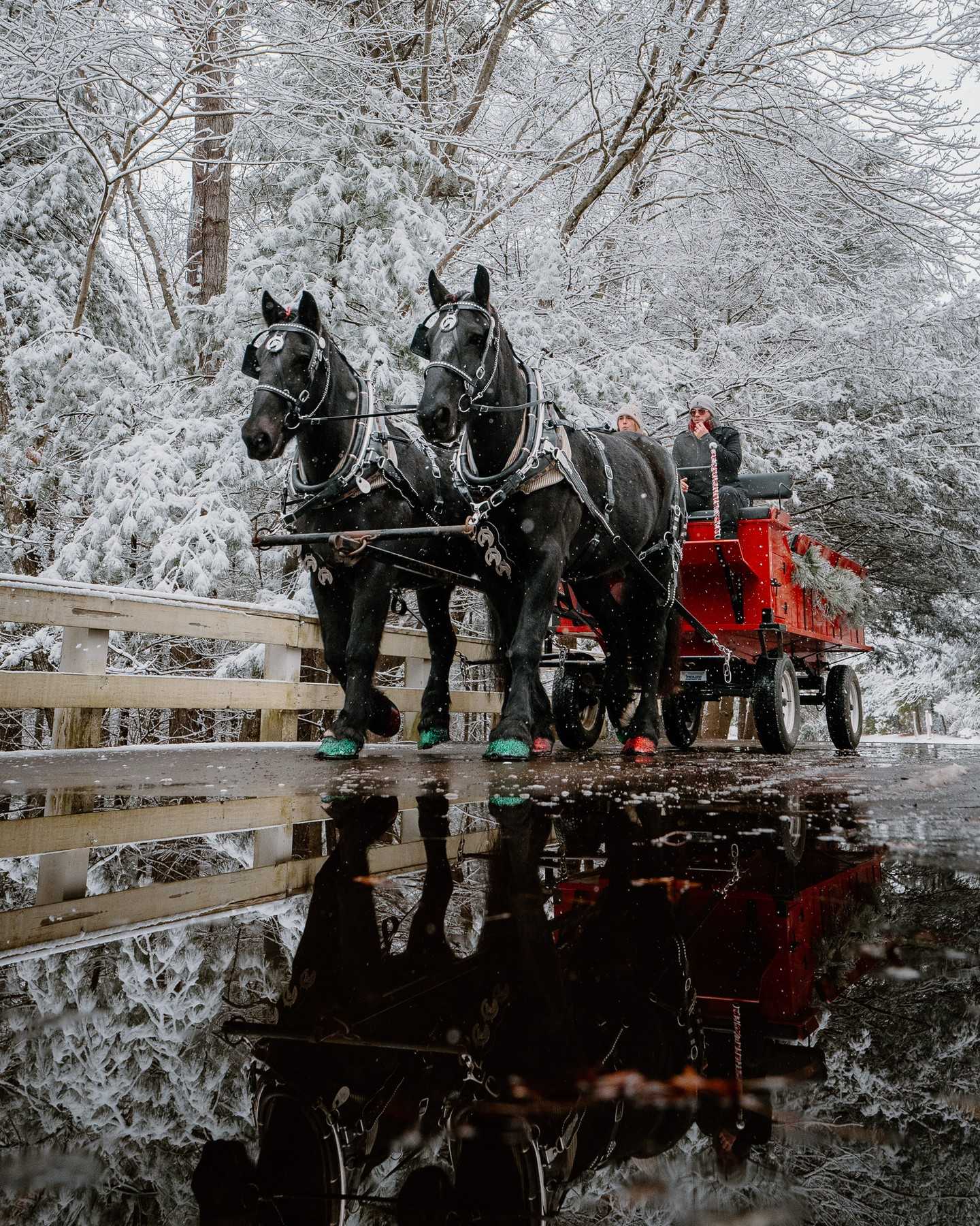 Instagram post 10684