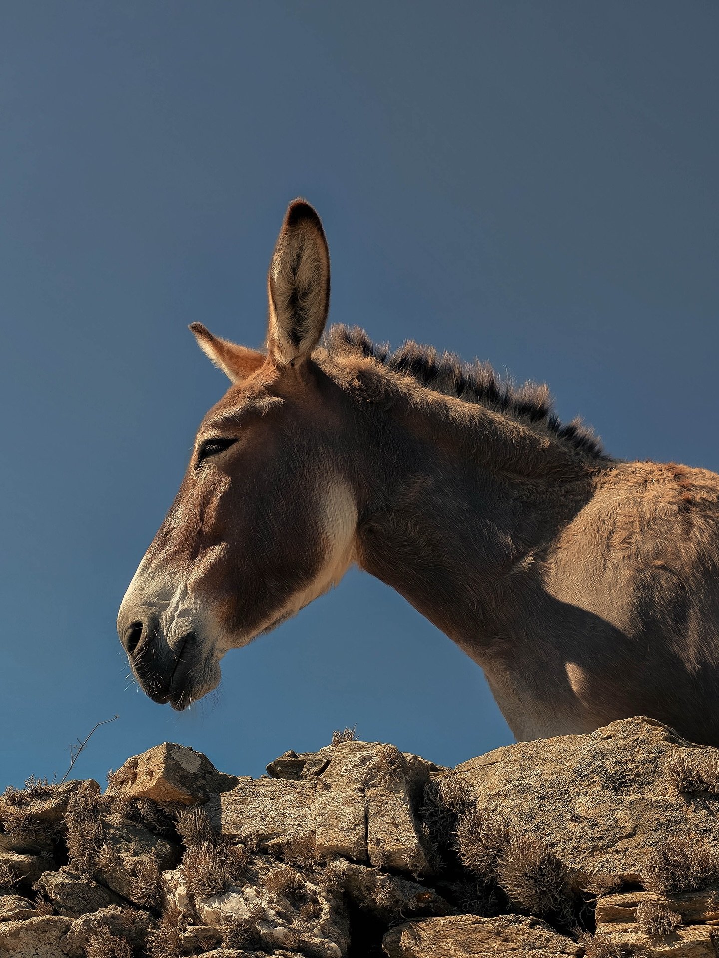 Instagram post 10941