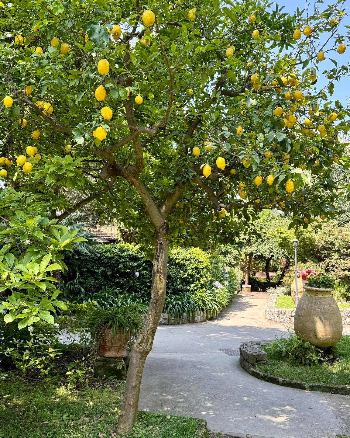 Instagram post 10947