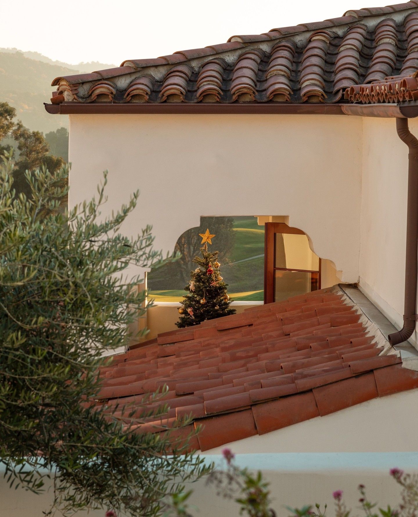 Instagram post 11165