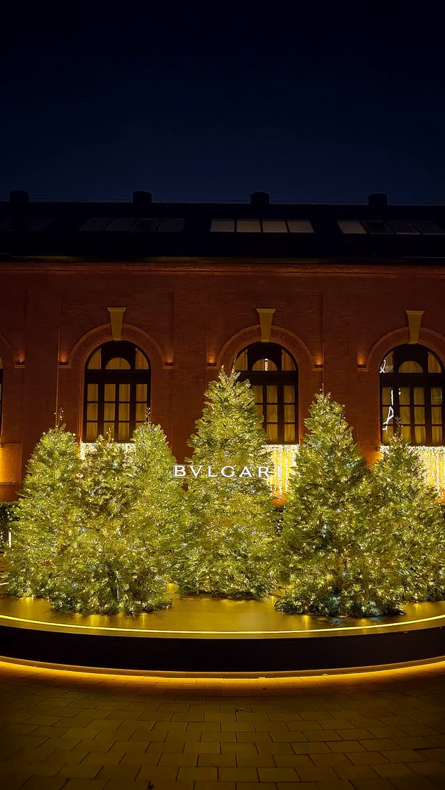 Instagram post 11257