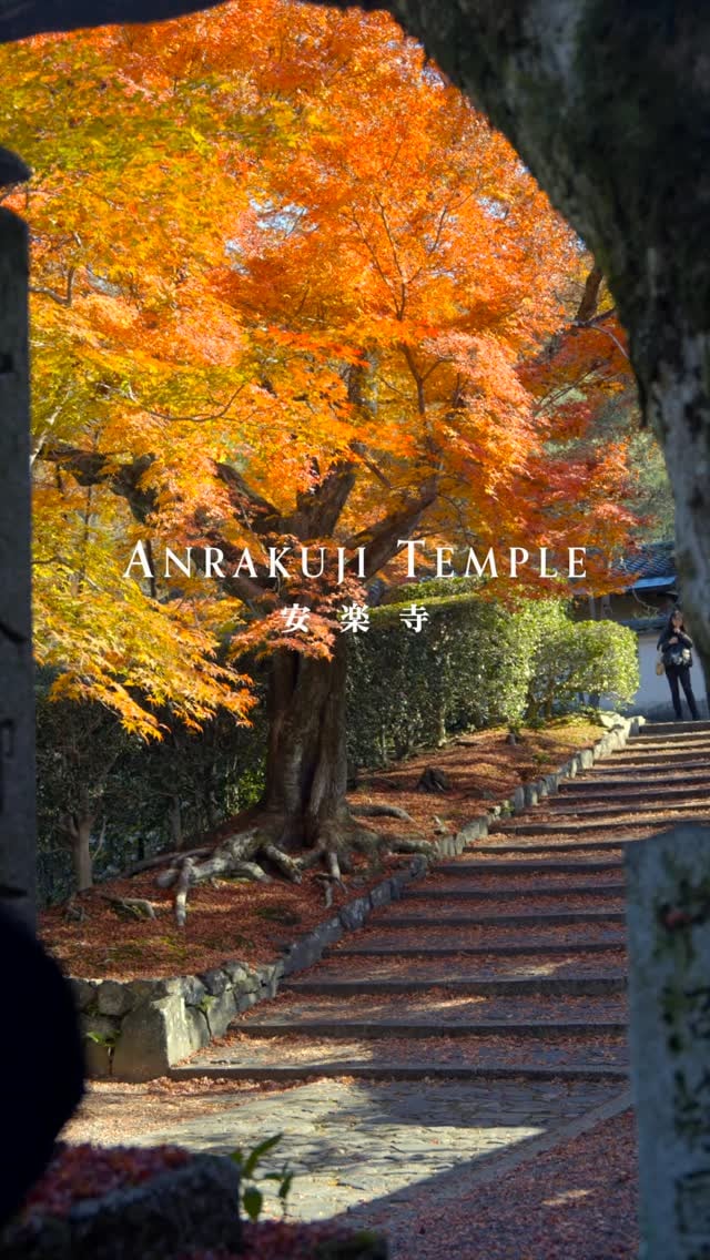 Instagram post 11289