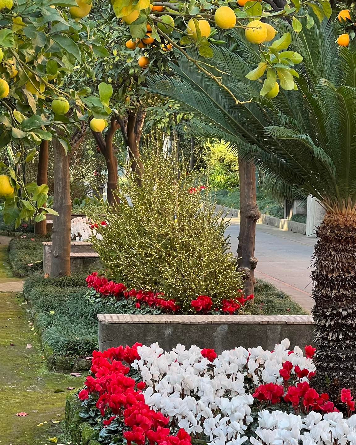 Instagram post 11409