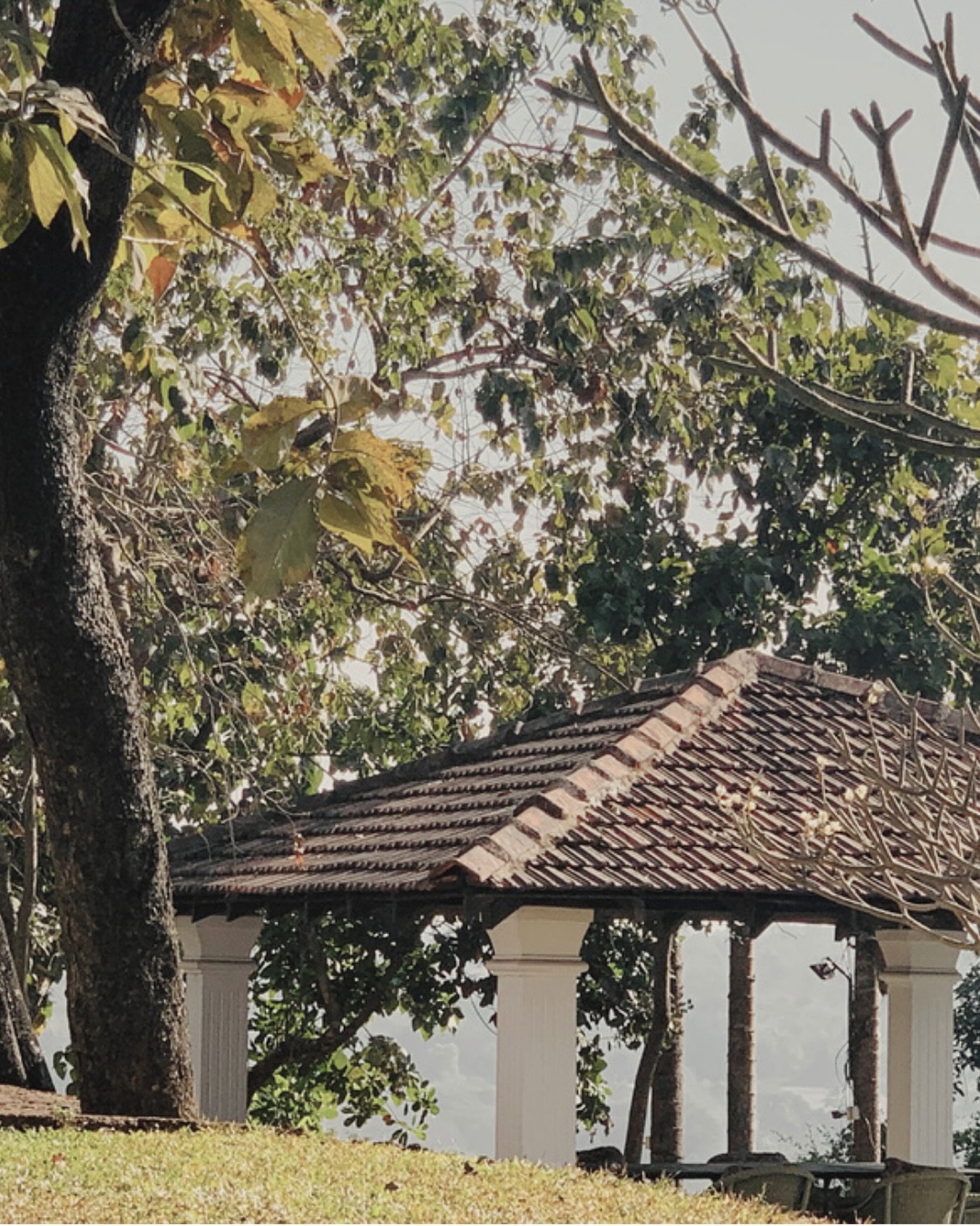 Instagram post 12334