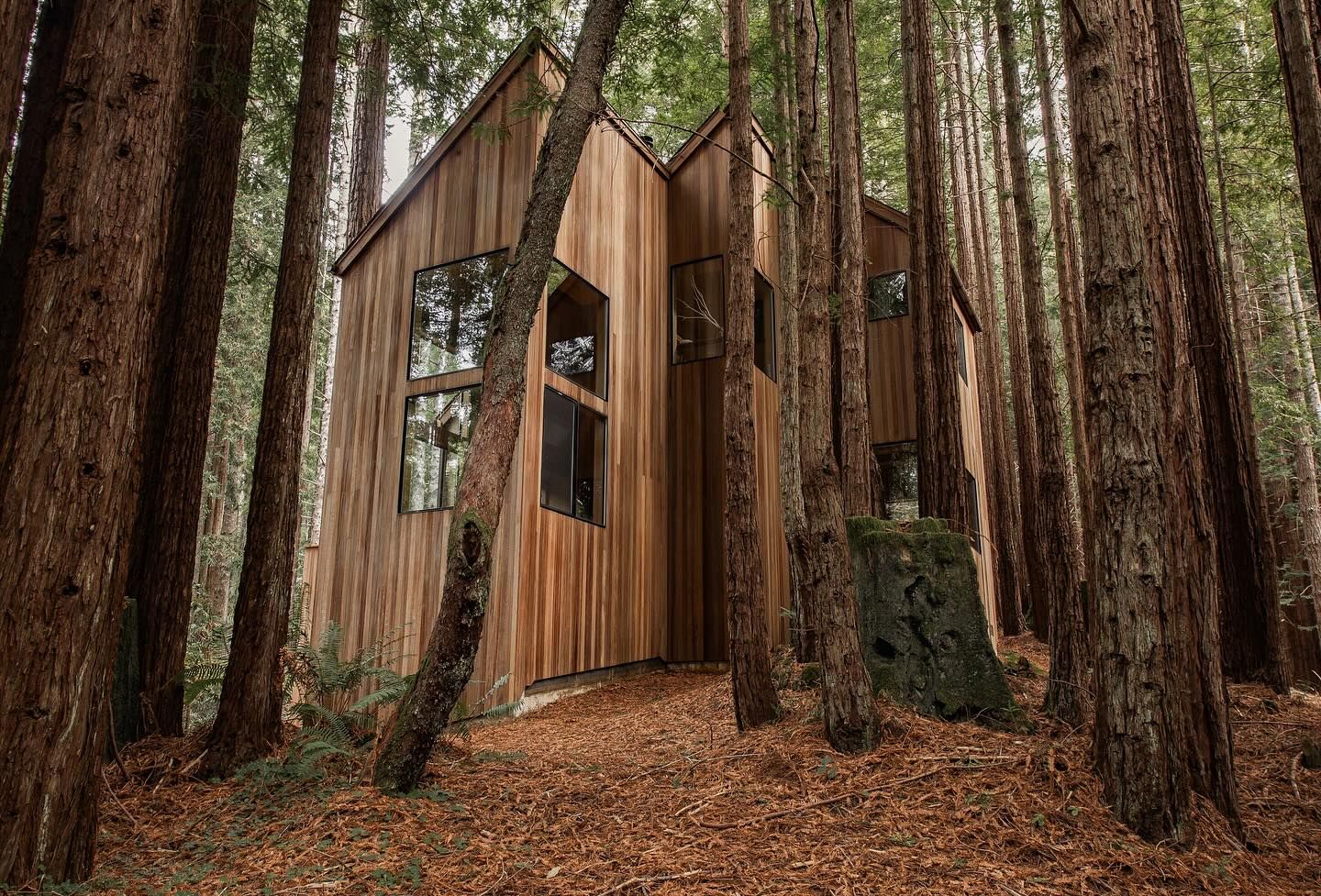 Instagram post 12366