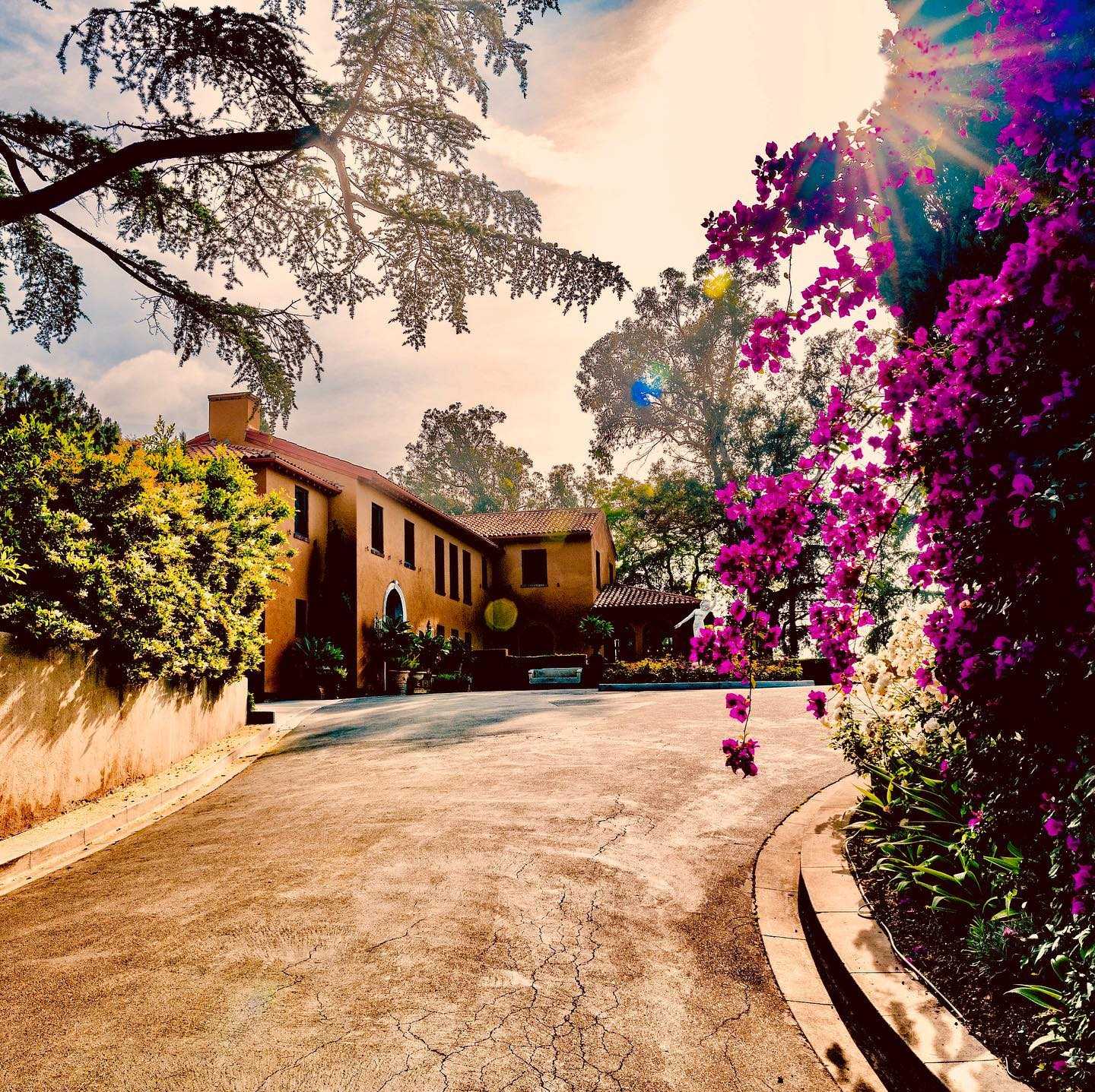 Instagram post 12417