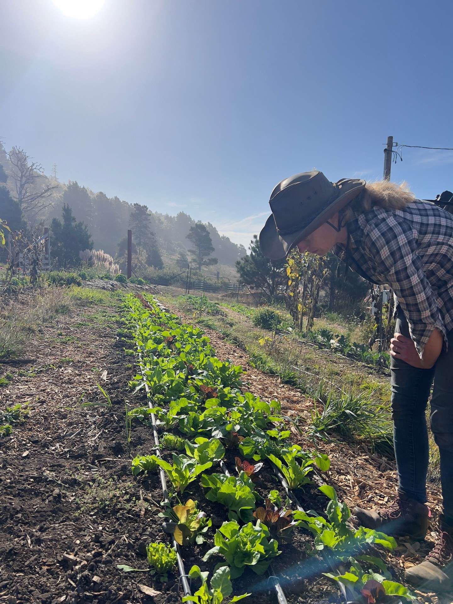 Instagram post 14502