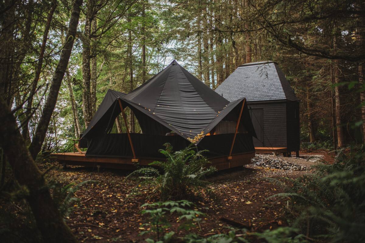 Embrace the Wild Romance of Washington’s Coastal Bluffs