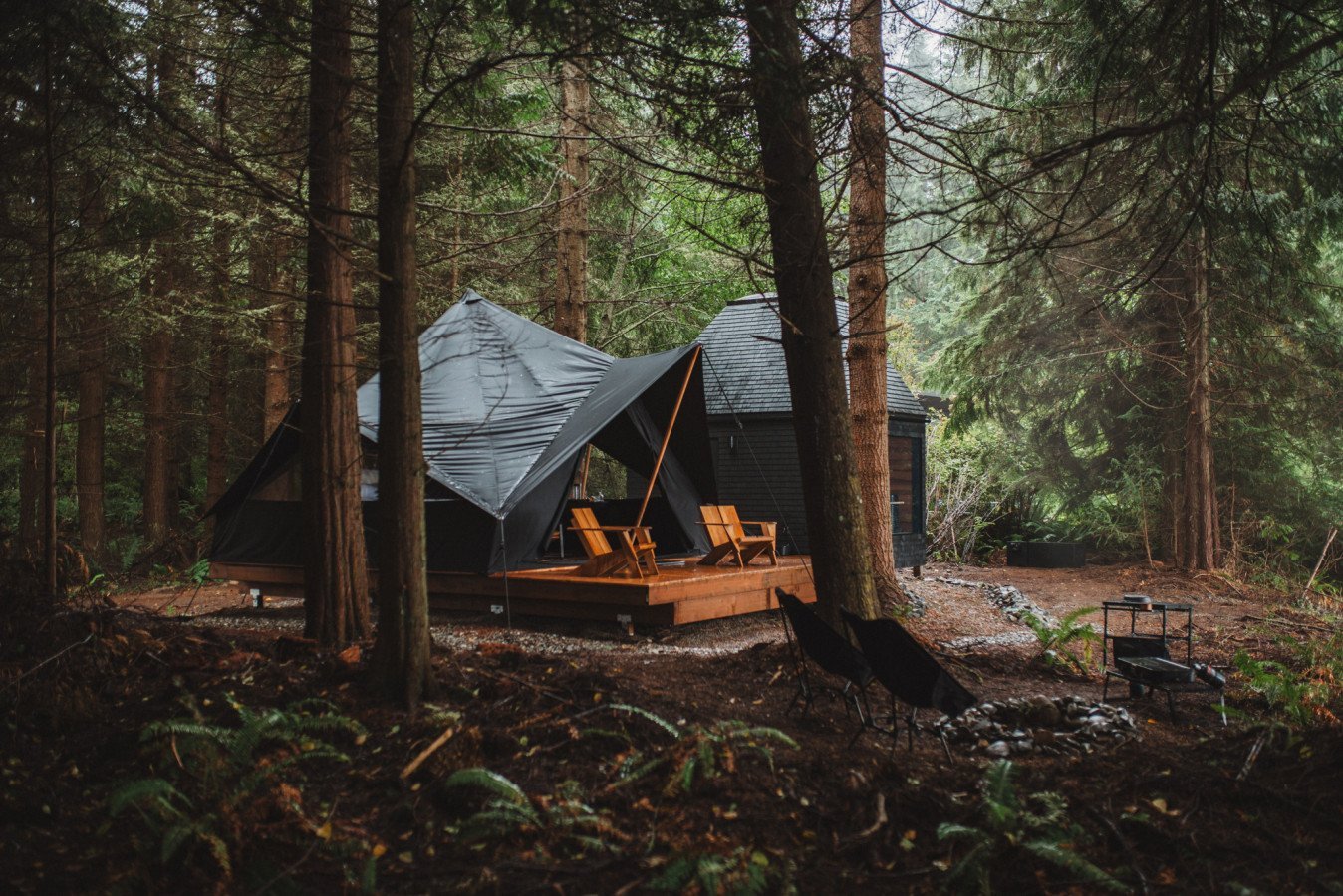 Find Serenity Among Washington’s Towering Evergreens