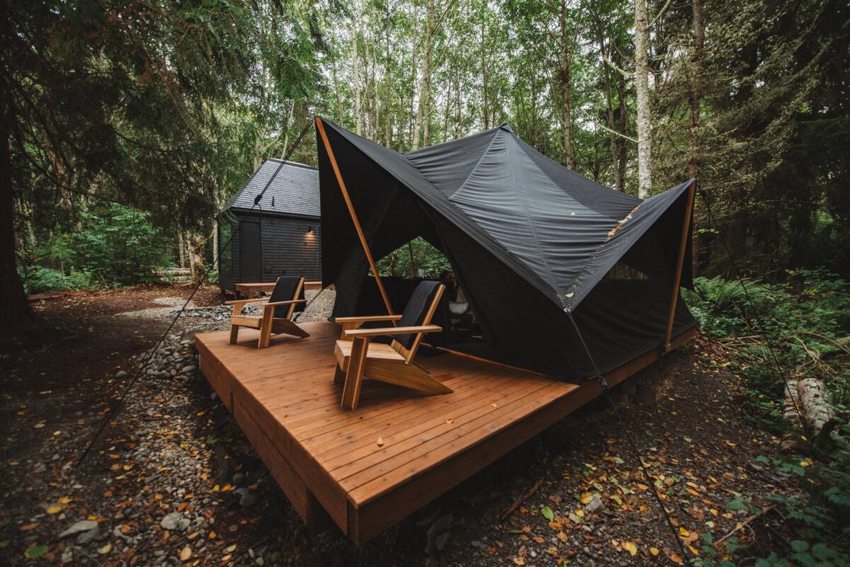 Retreat Into the Peace of Washington’s Coastal Woods