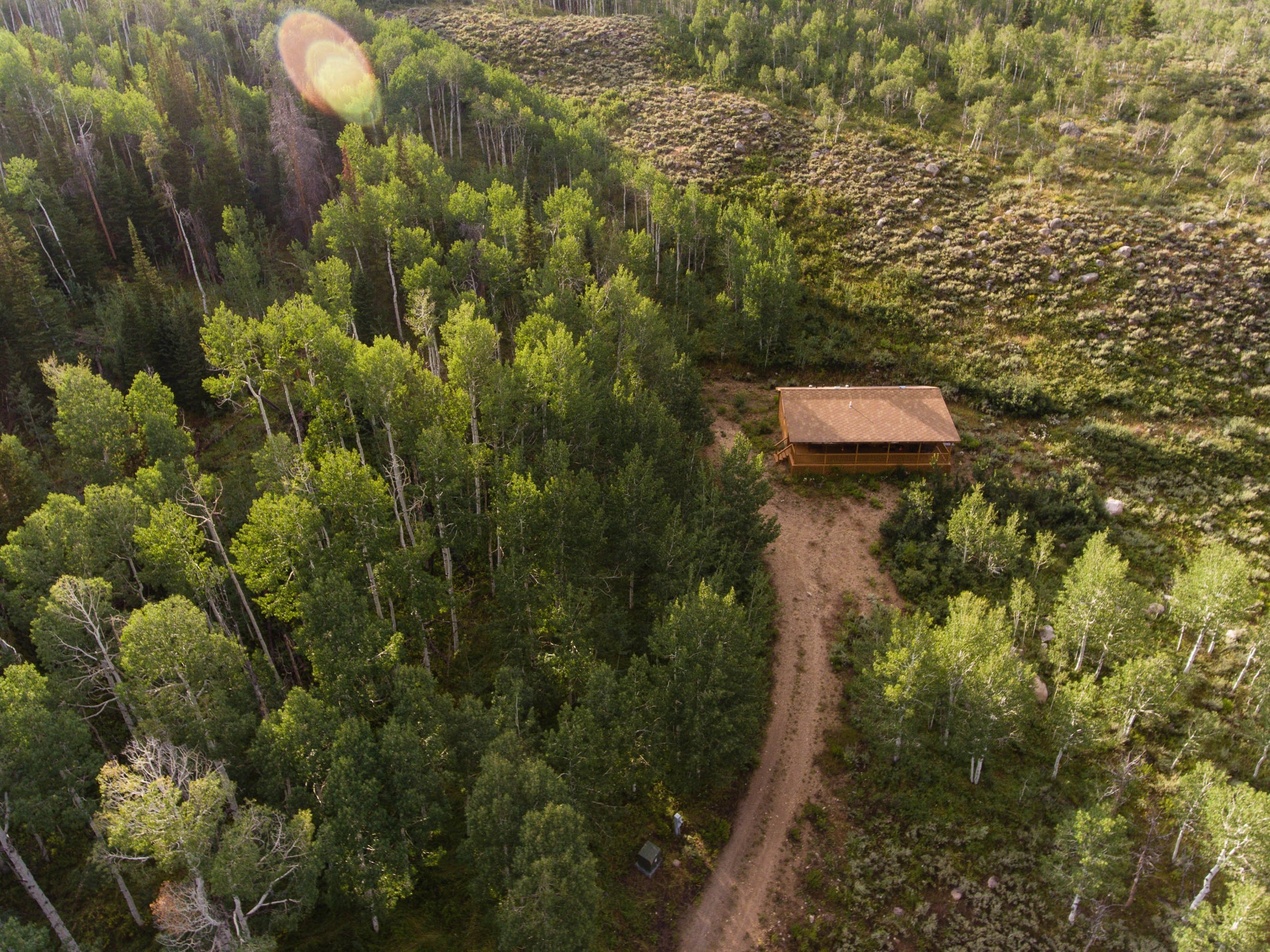 Soak in the Beauty of Nature with Every Step You Take