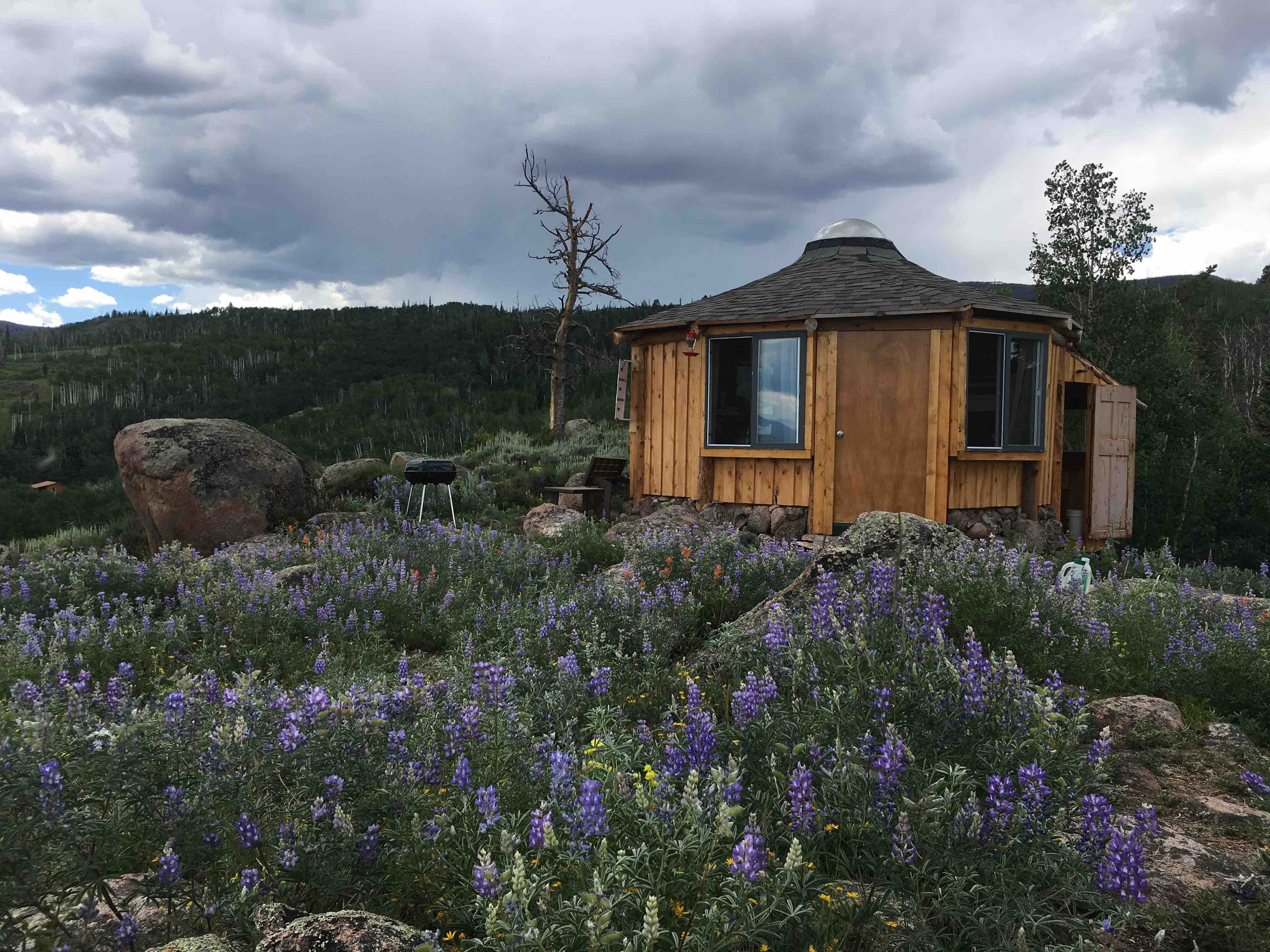 Escape to an Off-Grid Retreat Surrounded by Wildlife