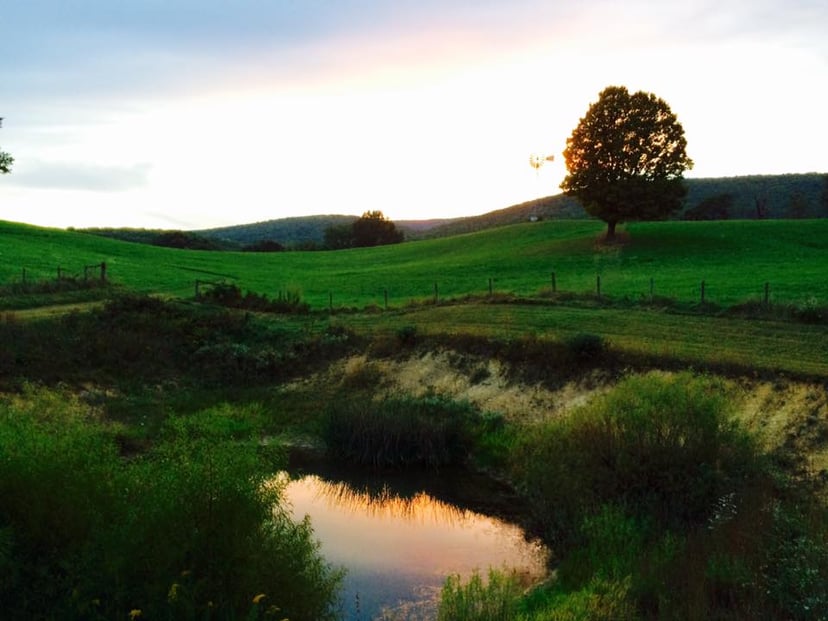 Image 12 of Spacious Rural Farmhouse Getaway w/ Peaceful Views