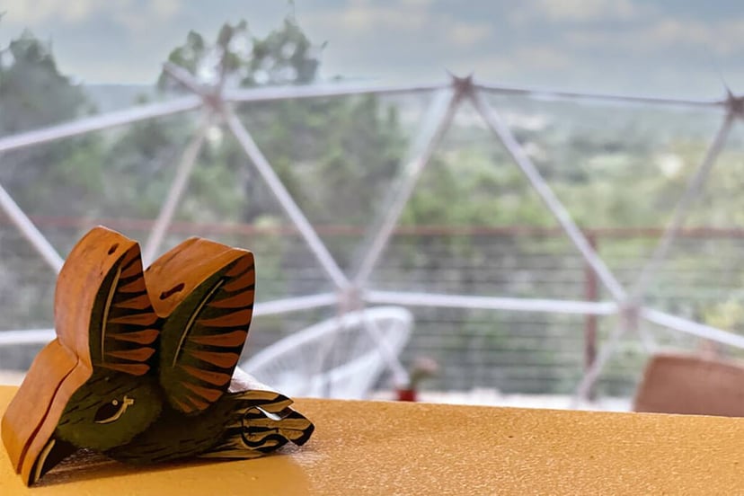 Image 14 of Sabi · Luxury Glamping Treetop Dome + Dip Pool