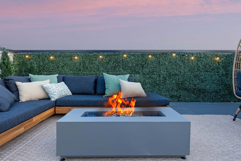 Image 19 of The Camellia - Rooftop Patio & Dog Friendly!